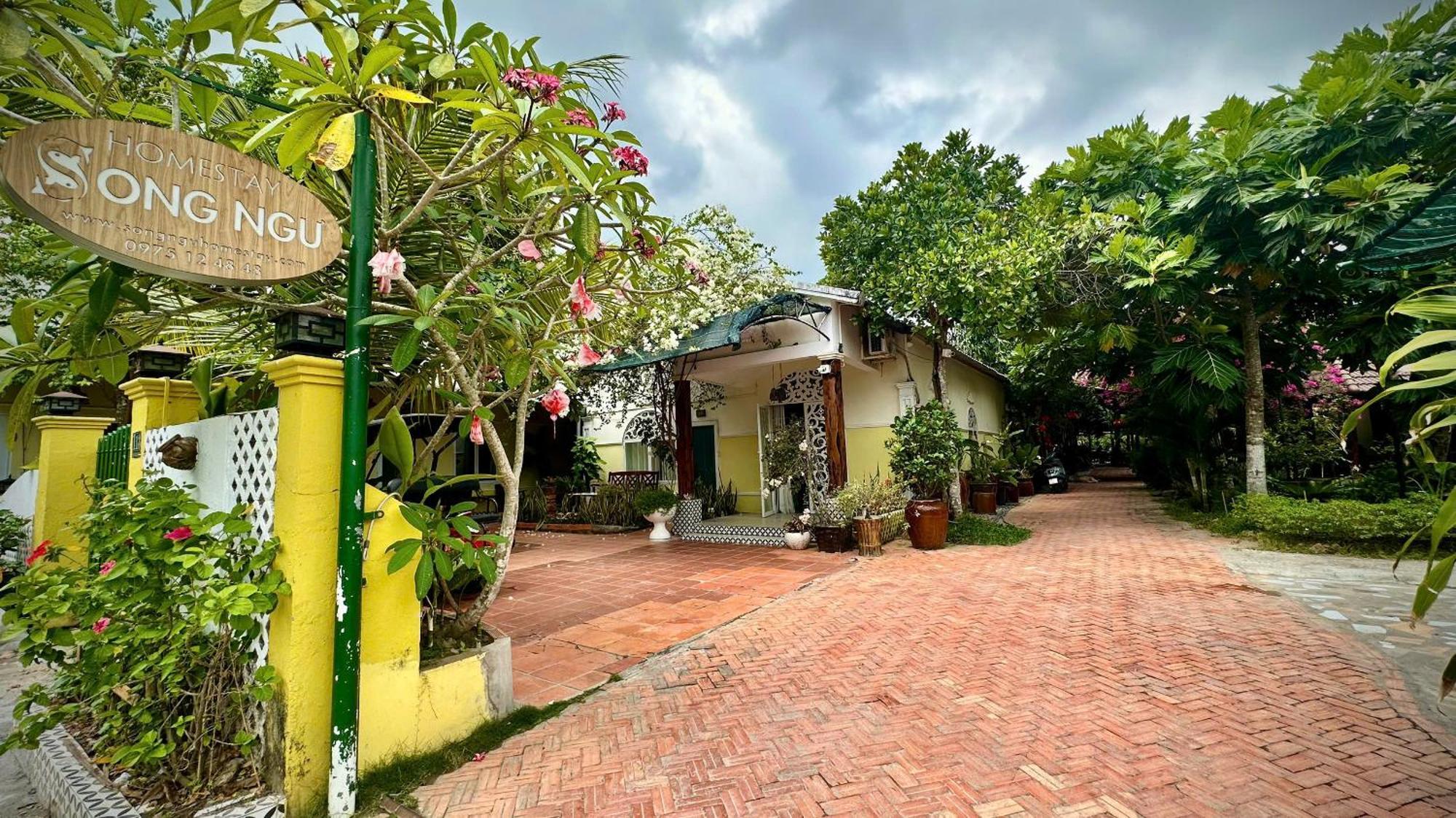 Song Ngu Pisces Homestay Can Tho Eksteriør bilde